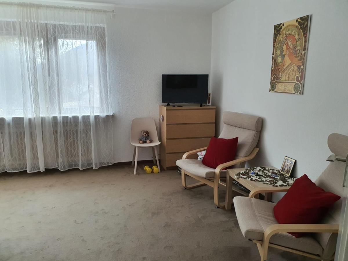 Hotel Garni Steinbacher Tal Хайделберг Екстериор снимка