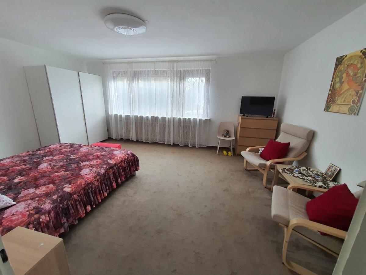 Hotel Garni Steinbacher Tal Хайделберг Екстериор снимка